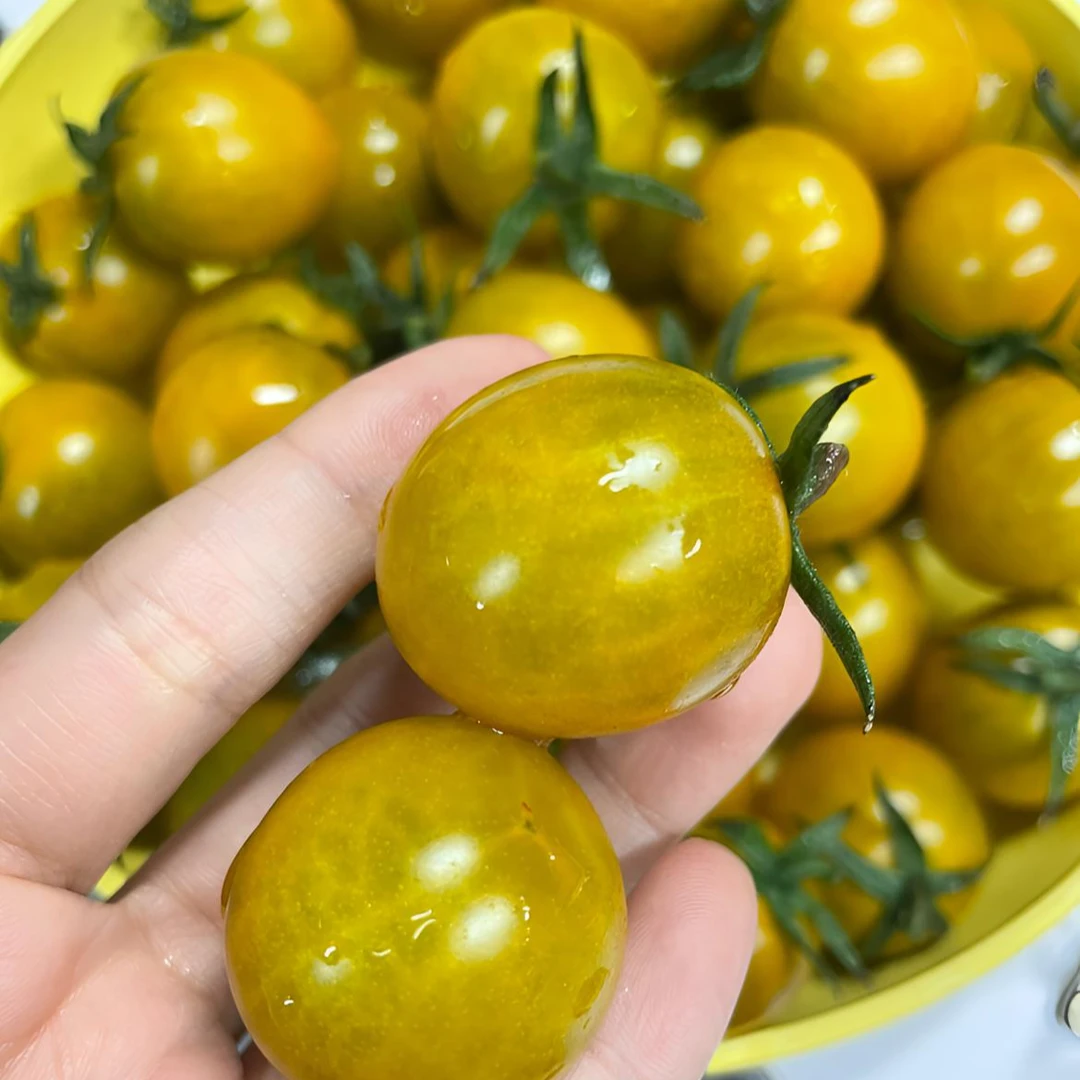 优鲜坐标有机琥珀番茄 小番茄 水果番茄 酸甜可口