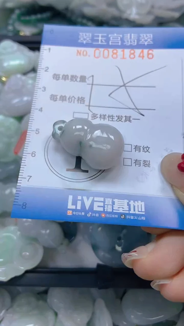 【闪购商品】翡翠颈饰未镶嵌闪购0081846