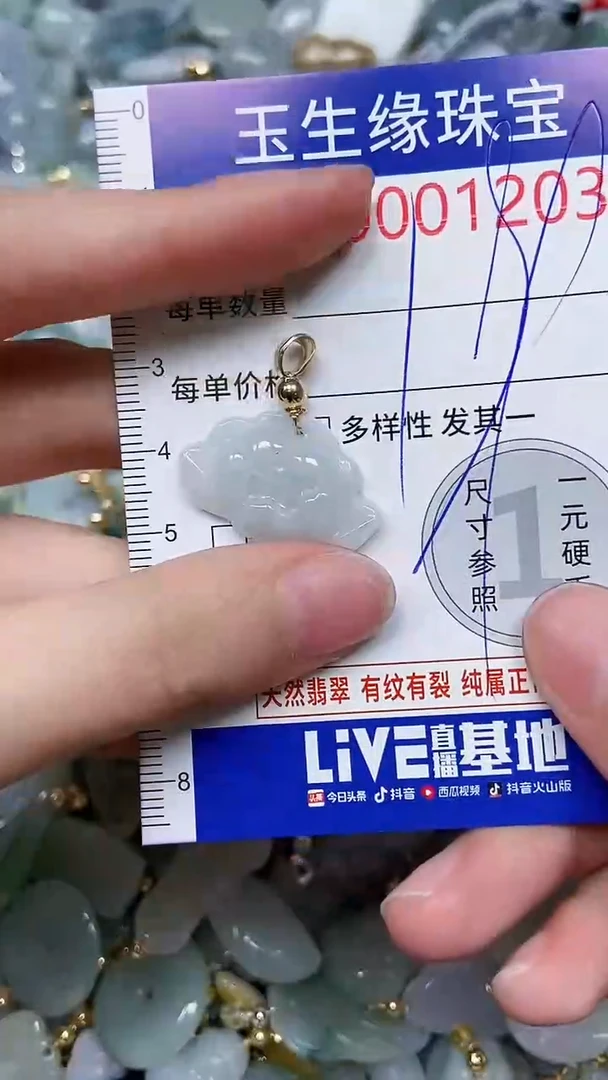 【闪购商品】翡翠颈饰未镶嵌闪购00001203