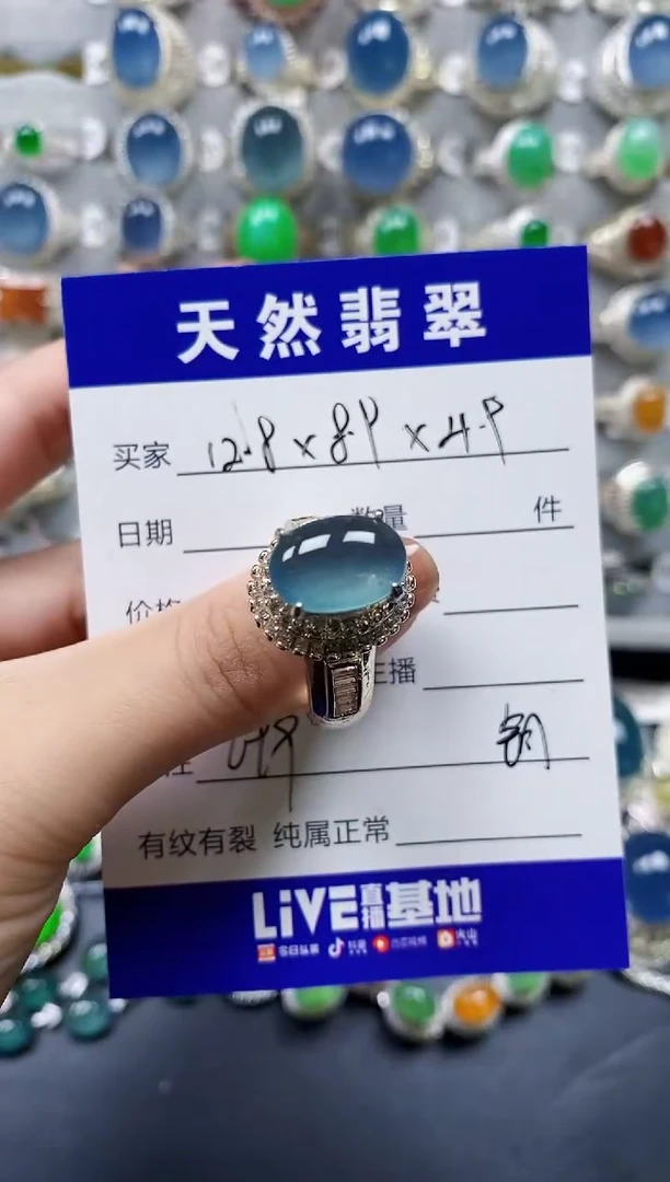 翡翠未镶嵌颈饰00000699