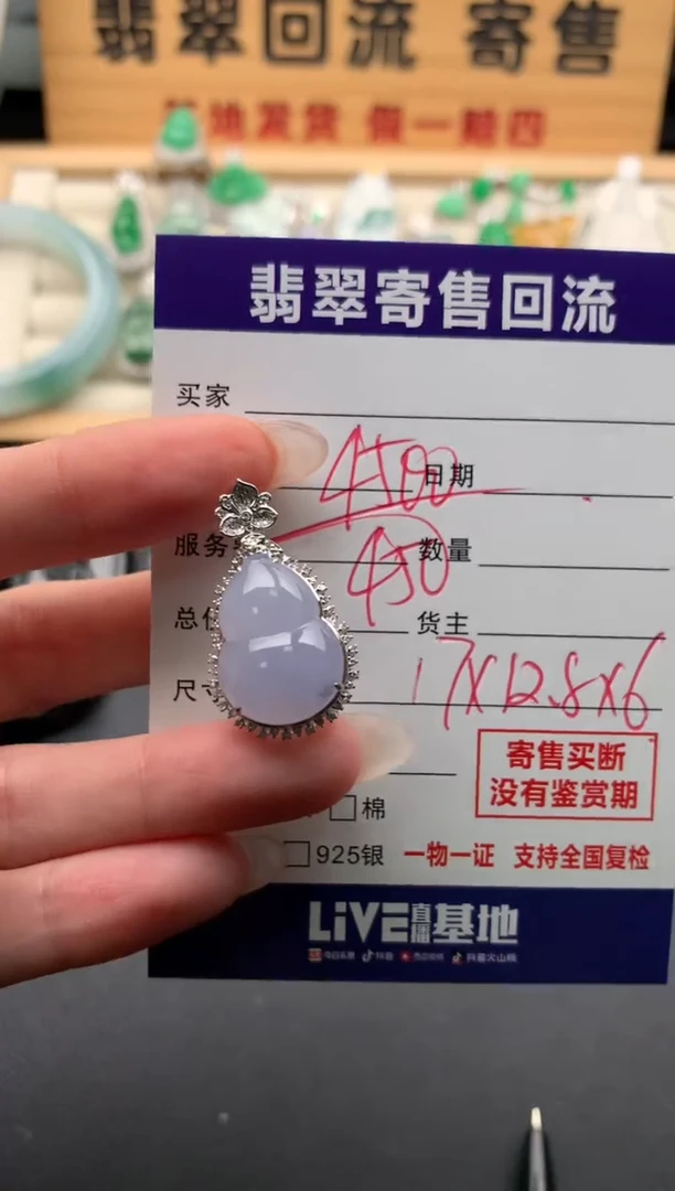 翡翠18K金镶嵌颈饰10133529