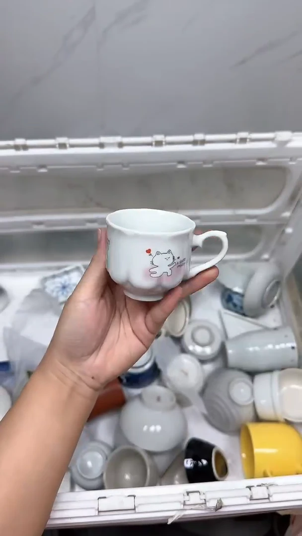 【闪购商品】498回流瓷器默认微瑕，18.8包邮