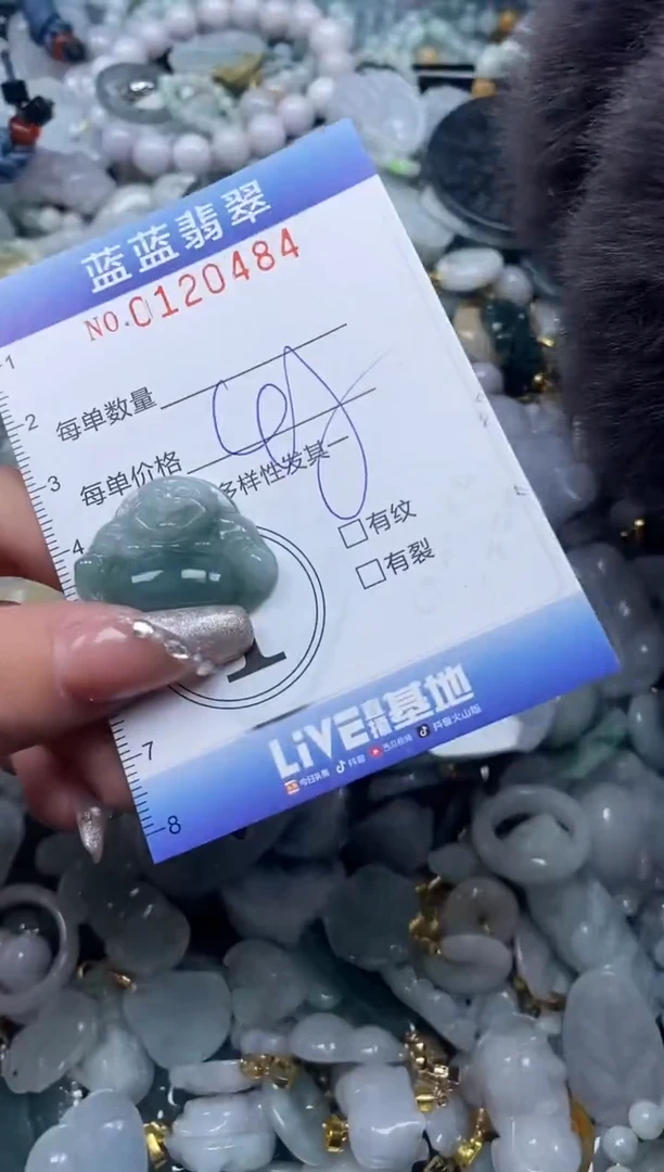 【闪购商品】翡翠颈饰未镶嵌闪购0120484