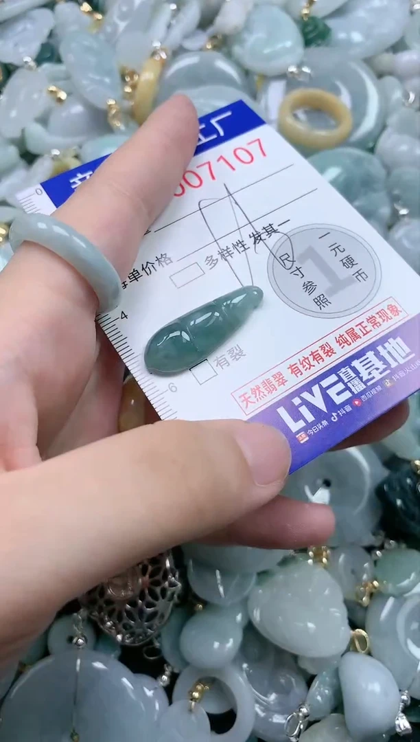 翡翠未镶嵌吊坠(不含链)7107