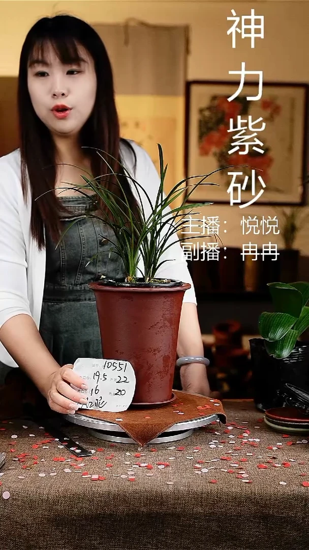 紫砂花盆花卉工艺10551+z