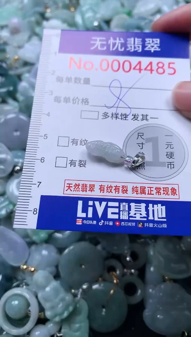 颈饰未镶嵌翡翠4485