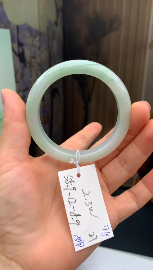 未镶嵌手镯翡翠7
