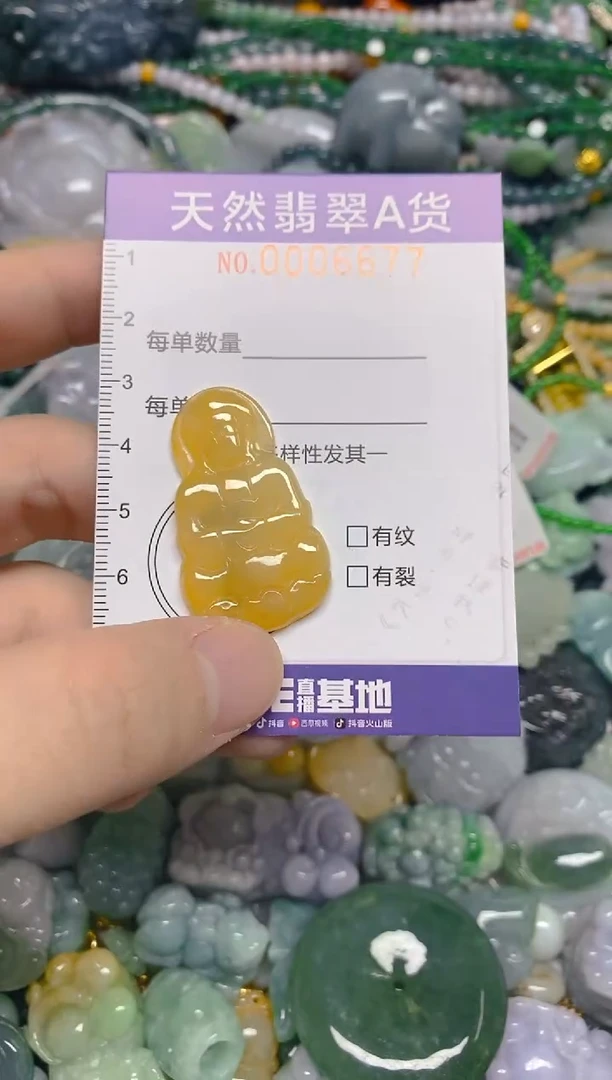 颈饰未镶嵌翡翠0006677