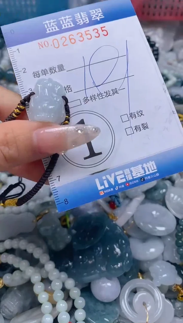 翡翠未镶嵌颈饰闪购0263535