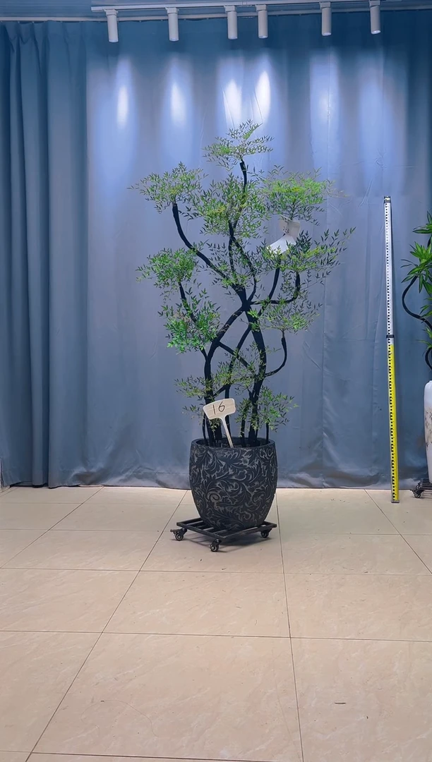 无花朵思*-南天竹1188