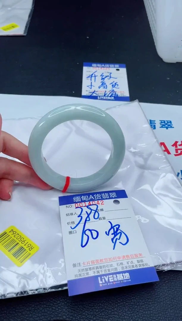 未镶嵌手镯翡翠我2
