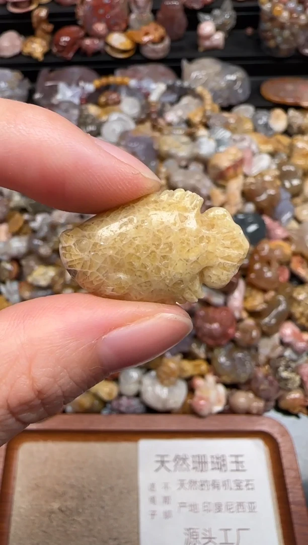 硅化珊瑚（珊瑚玉）未镶嵌颈饰657