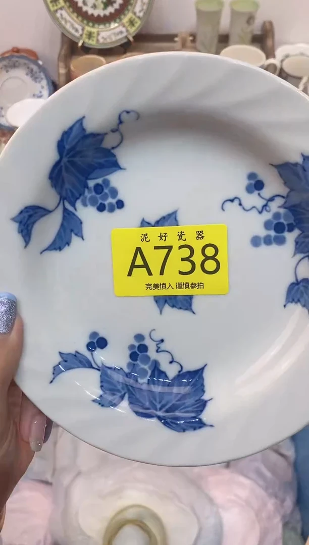 瓷片a****?                A738