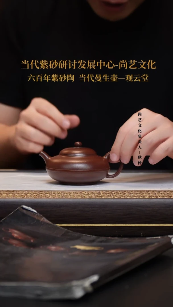 茶壶紫砂宜兴紫砂壶线圆