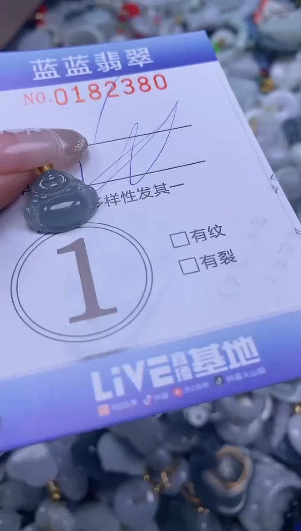 【闪购商品】翡翠颈饰未镶嵌闪购0182380多样性发其一