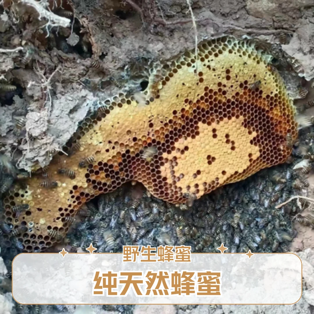 深山自然成熟野生蜂蜜纯蜂原蜜土蜂蜜农家自产结晶百花蜜冬蜜送礼