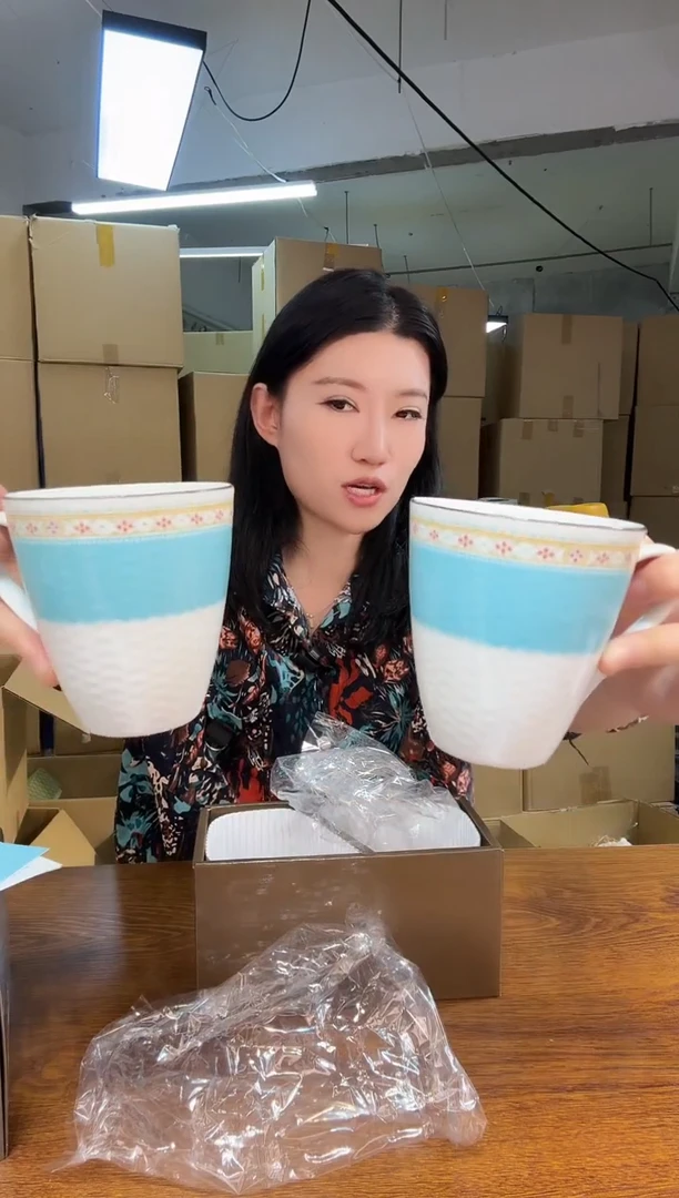 小狐狸严选日瓷器