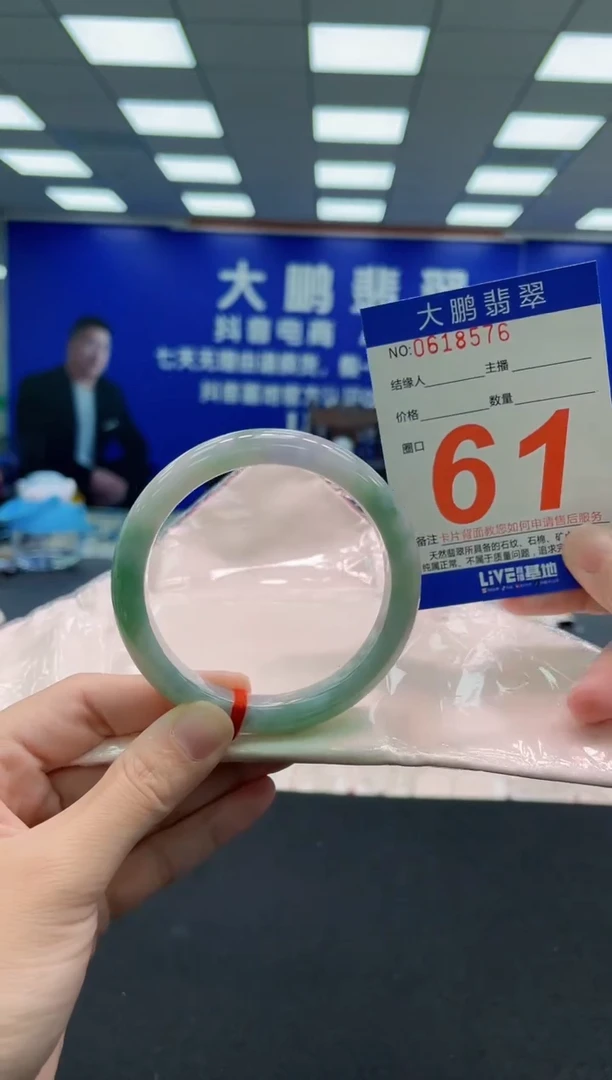未镶嵌手镯翡翠AAAAAAAAA