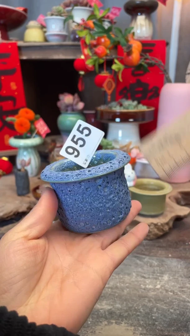 【闪购商品】摆件955知木小芳花盆