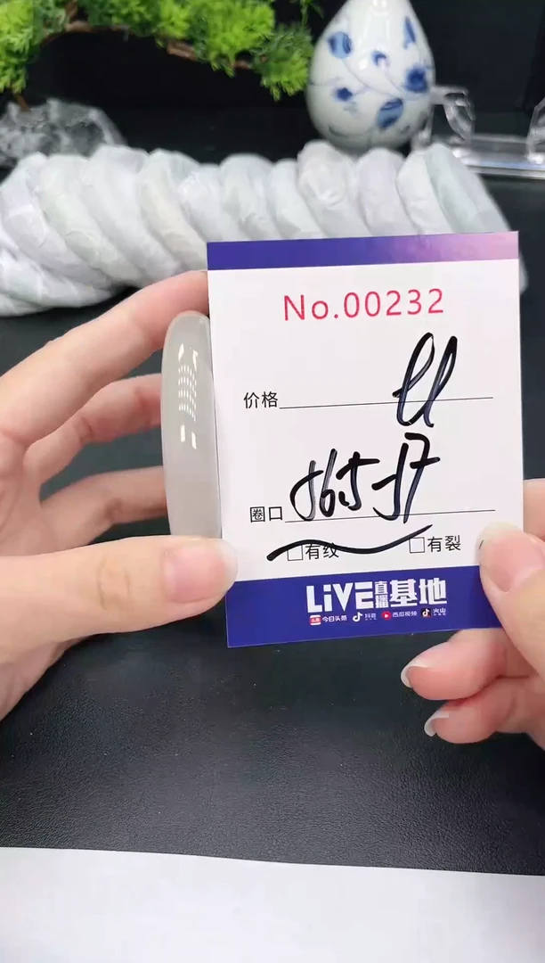 未镶嵌手镯翡翠232
