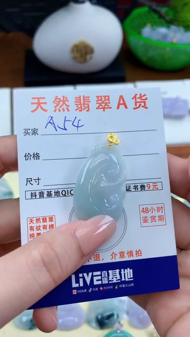 颈饰未镶嵌翡翠天然A货翡翠挂件