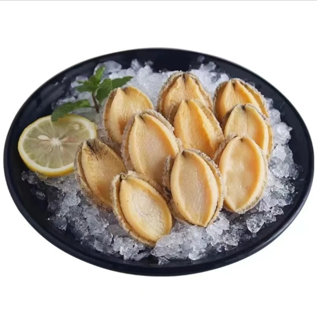 鲜冻大号5-6厘米7头鲍鱼现剥鲍鱼肉 九孔鲍连云港发货