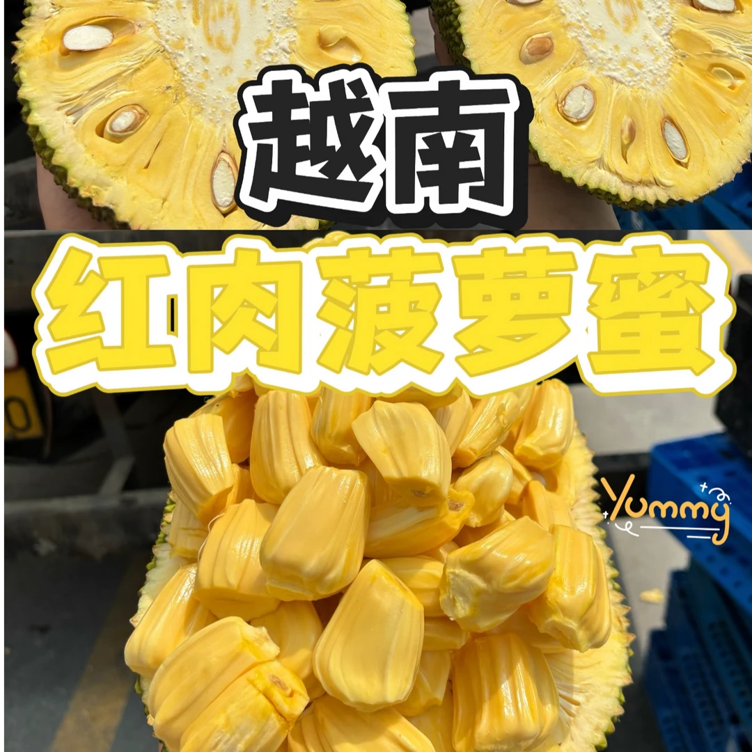 新店开业越南红肉菠萝蜜整果批发价顺丰冷链送货上门坏果包赔