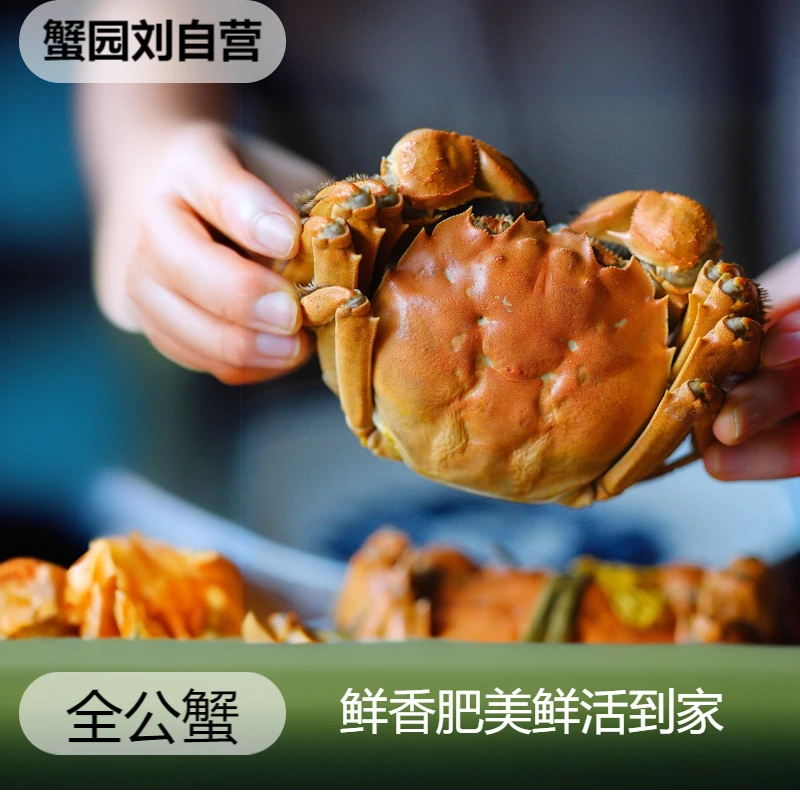 【活蟹】全公蟹3两8只  鲜活发货到家  新鲜螃蟹大闸蟹