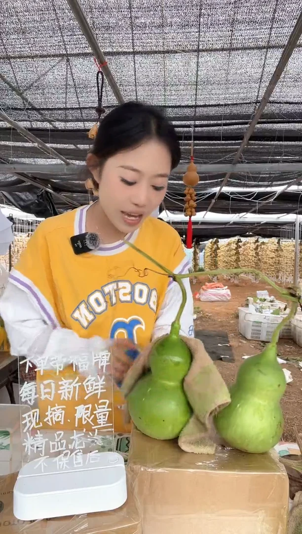 296天然葫芦摆件 一物一拍龙头不保售后