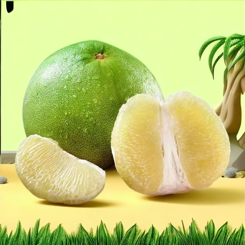 云南正宗版纳青柚清甜多汁新鲜饱满当季水果酸甜好吃柚子