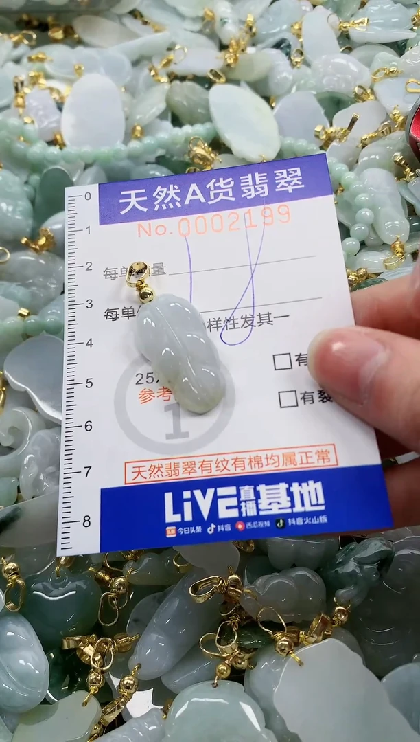 颈饰未镶嵌翡翠纯天然a货翡翠