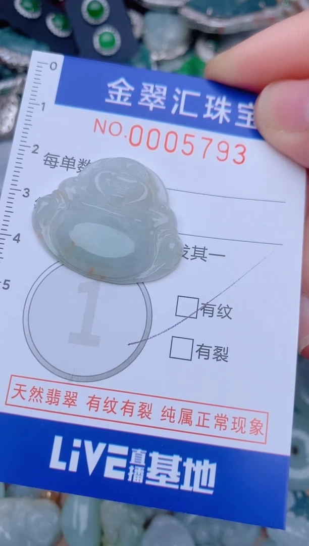 翡翠未镶嵌颈饰5793.........1