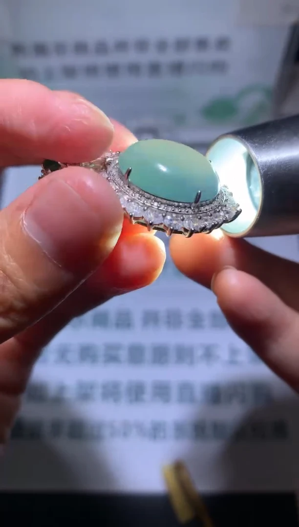 【闪购商品】翡翠颈饰合金净货