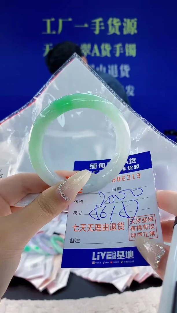 未镶嵌手镯翡翠19