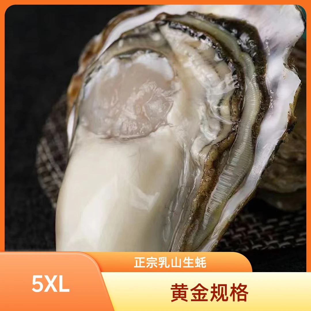 黄金规格 5XL 【到手10斤正宗精品乳山生蚝】买5斤送5斤共10斤鲜活