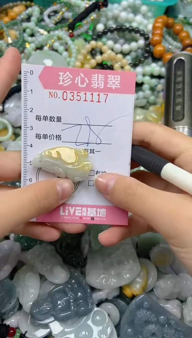 颈饰未镶嵌翡翠闪购0351117