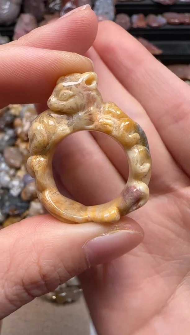 【闪购商品】硅化珊瑚（珊瑚玉）颈饰未镶嵌285