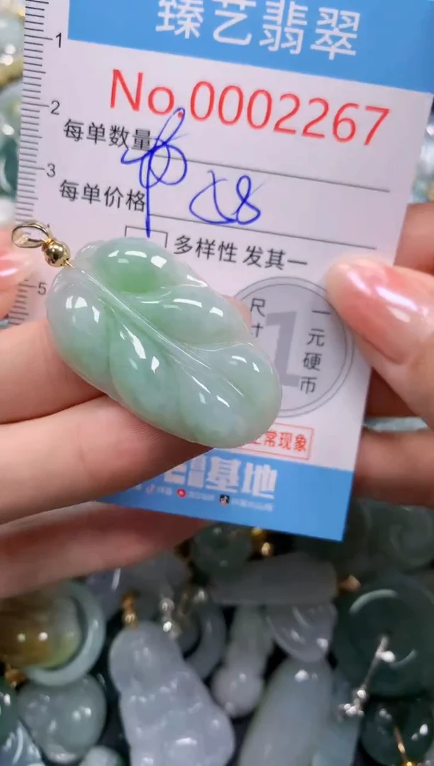 颈饰未镶嵌翡翠2267