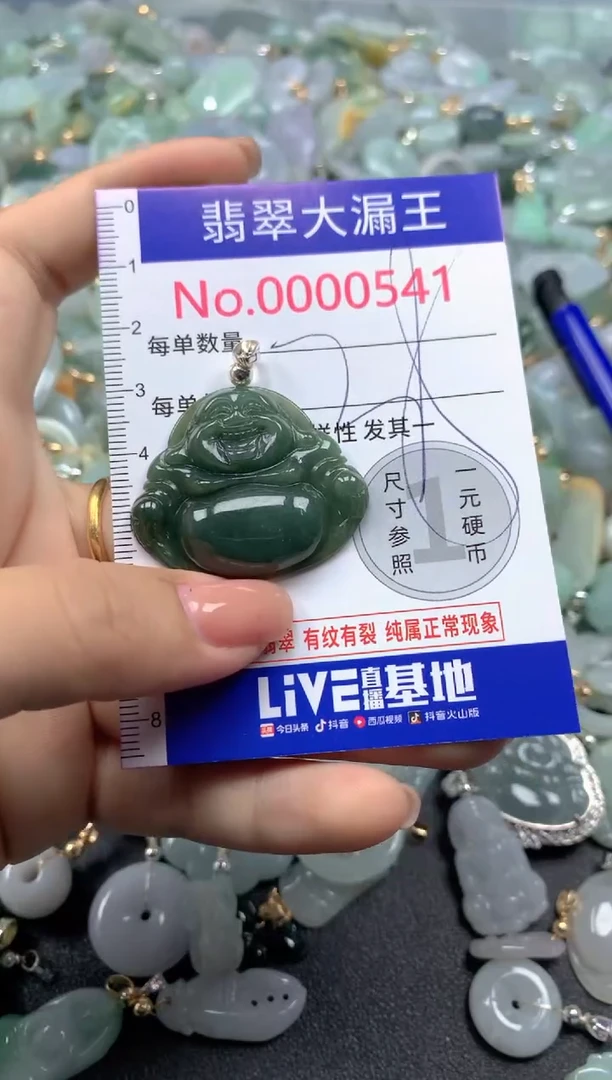 颈饰未镶嵌翡翠541