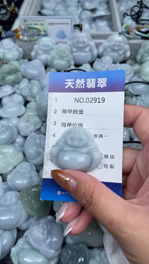 颈饰未镶嵌翡翠纯天然A货翡翠2919