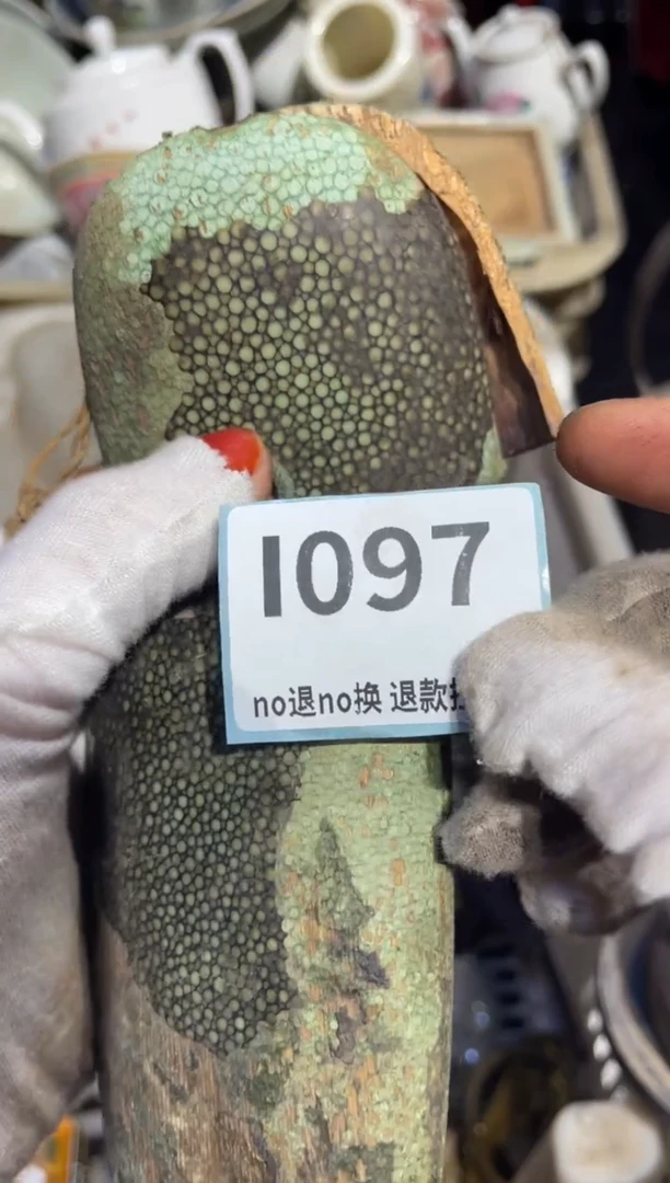 瓷片霸***少表姐直播链接热卖