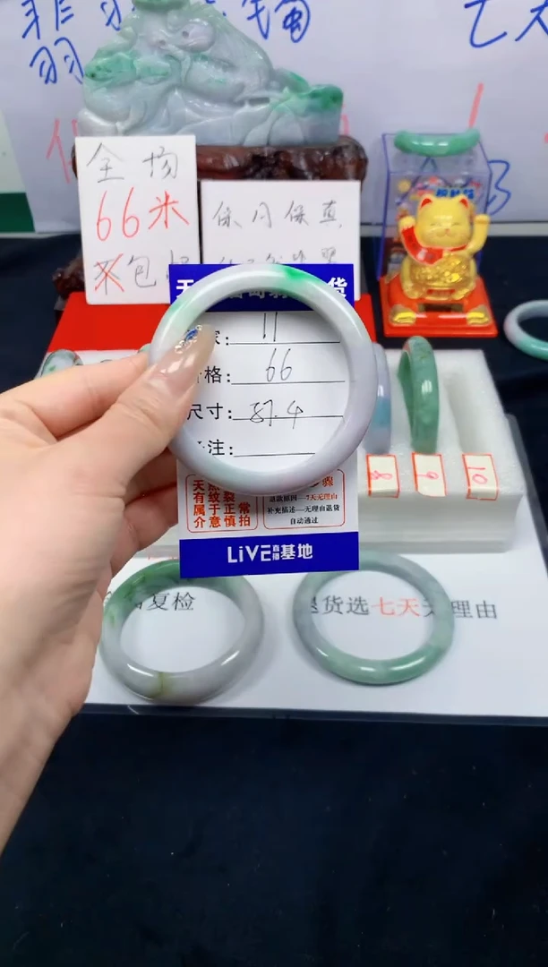 未镶嵌手镯翡翠11