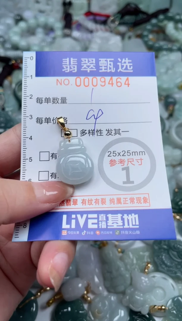 翡翠未镶嵌颈饰00..9457