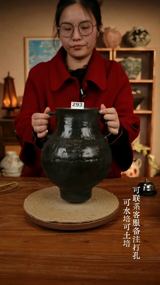 陶瓷293蓝色双耳大肚瓶可水培可土培