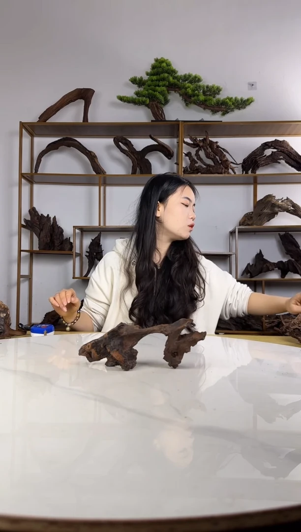 燕*拍沉木定向链接编号18