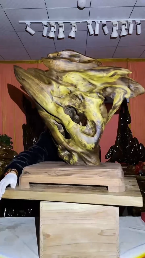 金丝楠松*金丝楠木小叶桢楠