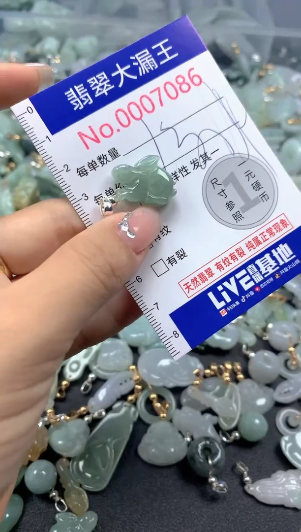 颈饰未镶嵌翡翠7086