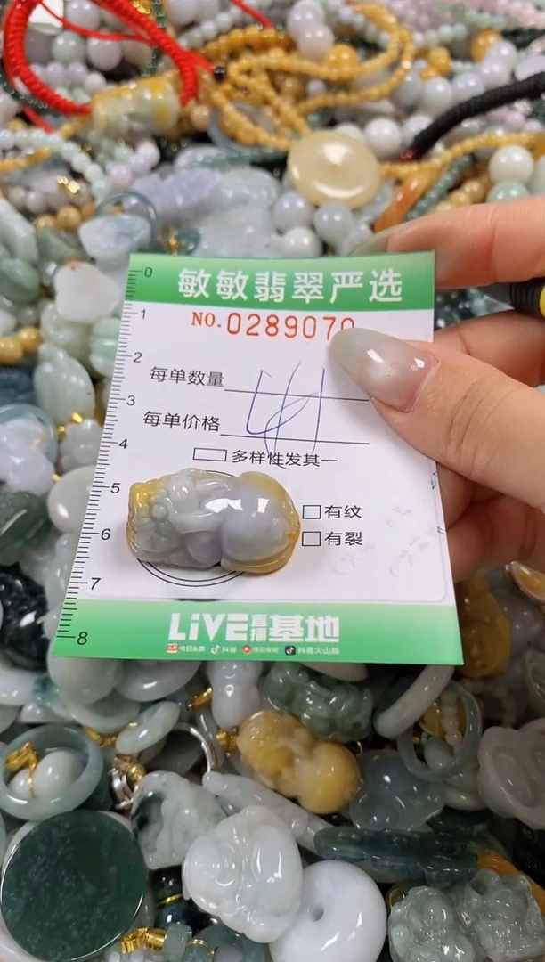 翡翠未镶嵌颈饰闪购0289070