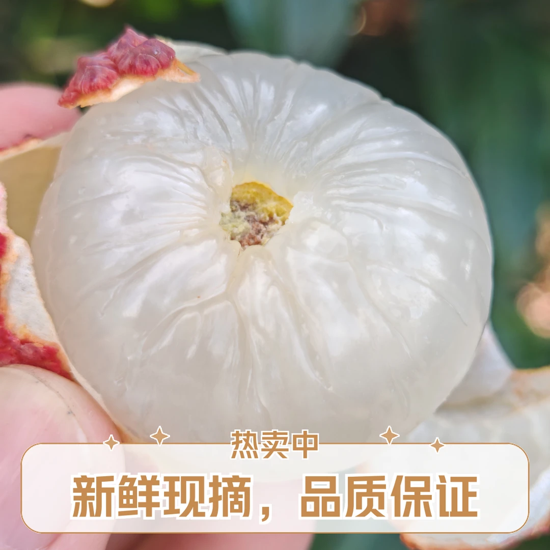 广西北海合浦香山鸡嘴荔枝