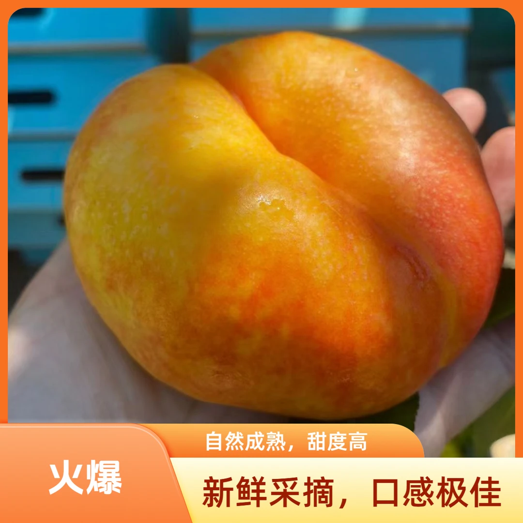 平谷大桃 黄油蟠9号 山区种植 顺丰包邮北京市